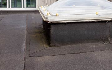 disadvantages of Larrick flat roofs