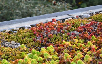 the cost of Larrick green roof installation