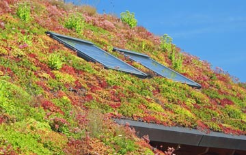 Larrick living roof systems