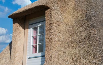 Larrick thatch roof disadvantages